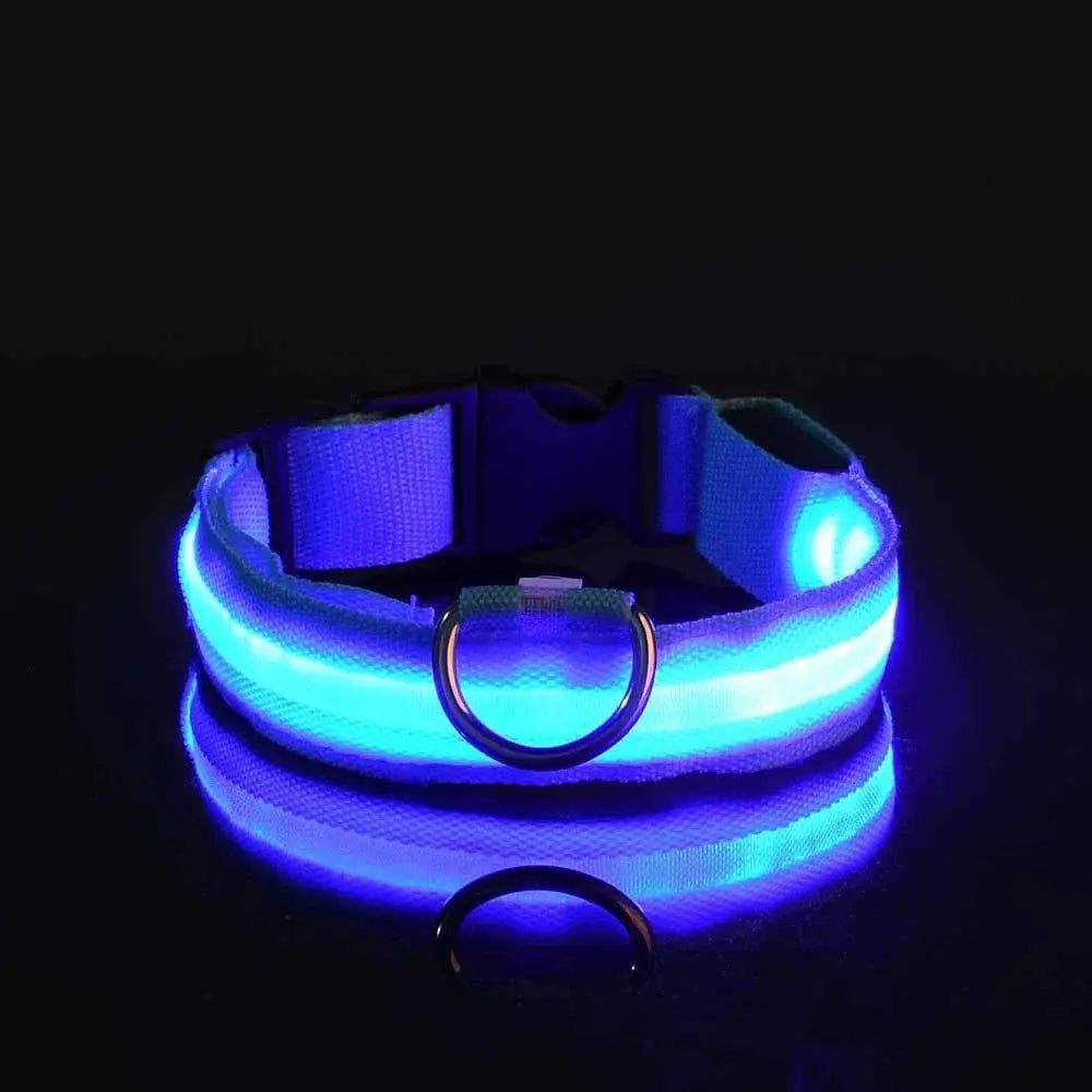 Dog Collar Nylon LED Night Safety Flashing Glow Reseller