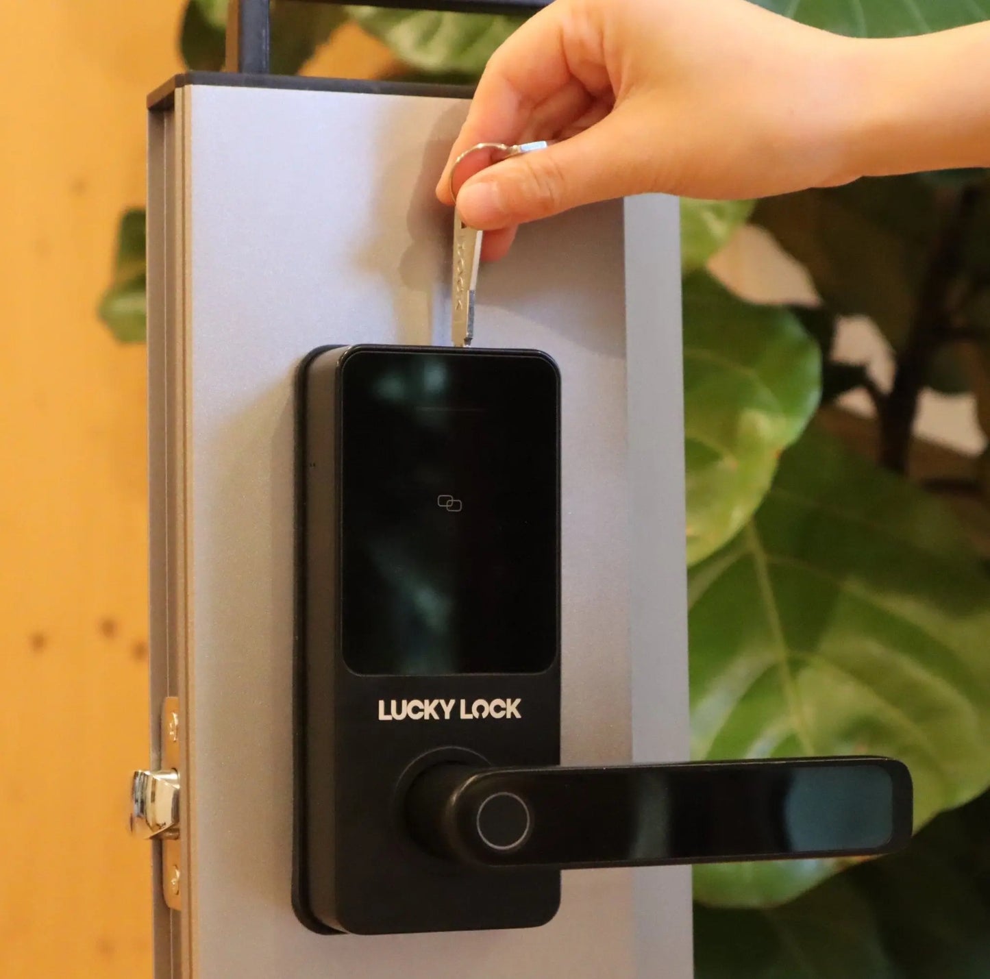 Lucky Lock Fingerprint Smart Lock Ease L1 - LuckyLock