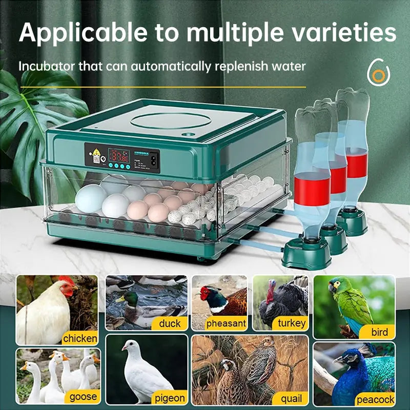 9 - 48 Egg Incubator: Automatic Egg - Turning & Humidity Monitoring. Duck Incubator with Auto - Water Ionic Waterbed eprolo