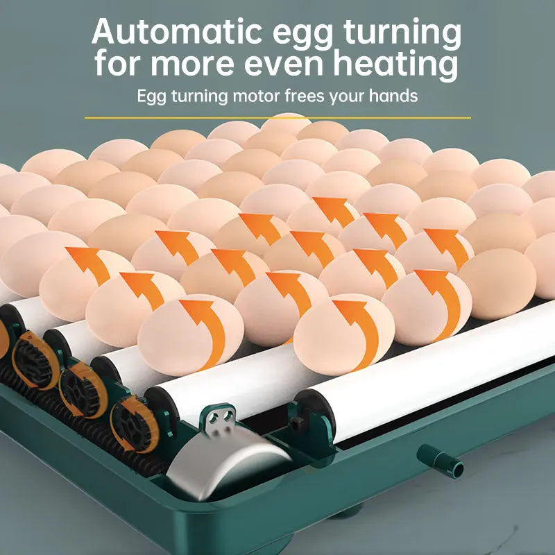 9 - 48 Egg Incubator: Automatic Egg - Turning & Humidity Monitoring. Duck Incubator with Auto - Water Ionic Waterbed eprolo
