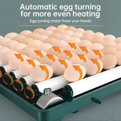 9 - 48 Egg Incubator: Automatic Egg - Turning & Humidity Monitoring. Duck Incubator with Auto - Water Ionic Waterbed eprolo