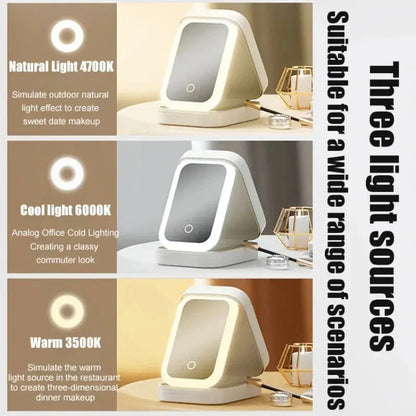 LED Mirror Makeup Storage Box Portable Travel Reseller
