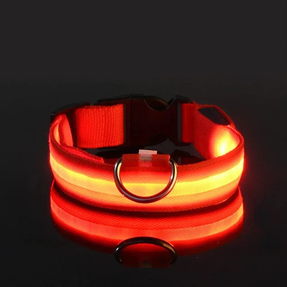 Dog Collar Nylon LED Night Safety Flashing Glow Reseller