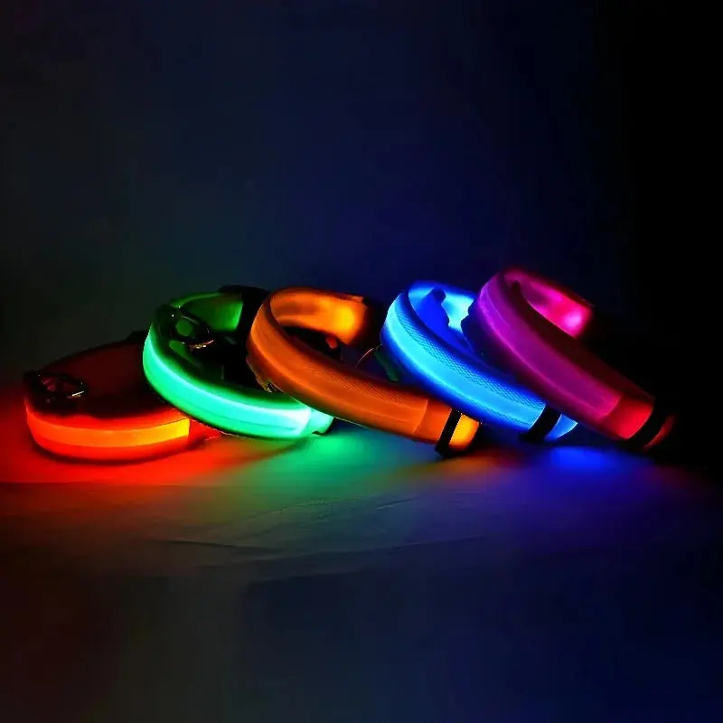 Dog Collar Nylon LED Night Safety Flashing Glow Reseller