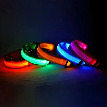 Dog Collar Nylon LED Night Safety Flashing Glow Reseller