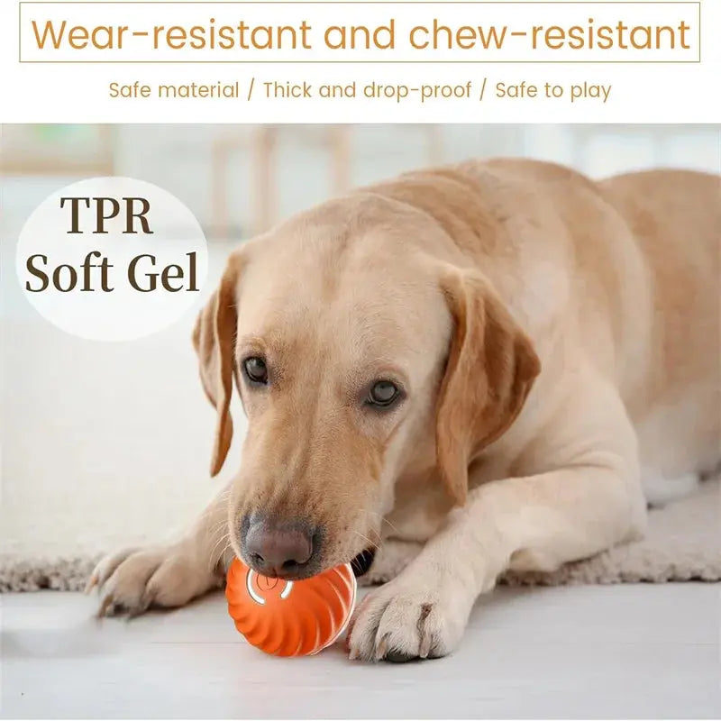 Smart Dog Toy Ball Electronic Interactive Pet Toy Reseller