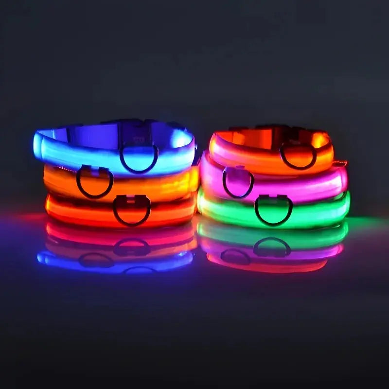 Dog Collar Nylon LED Night Safety Flashing Glow Reseller