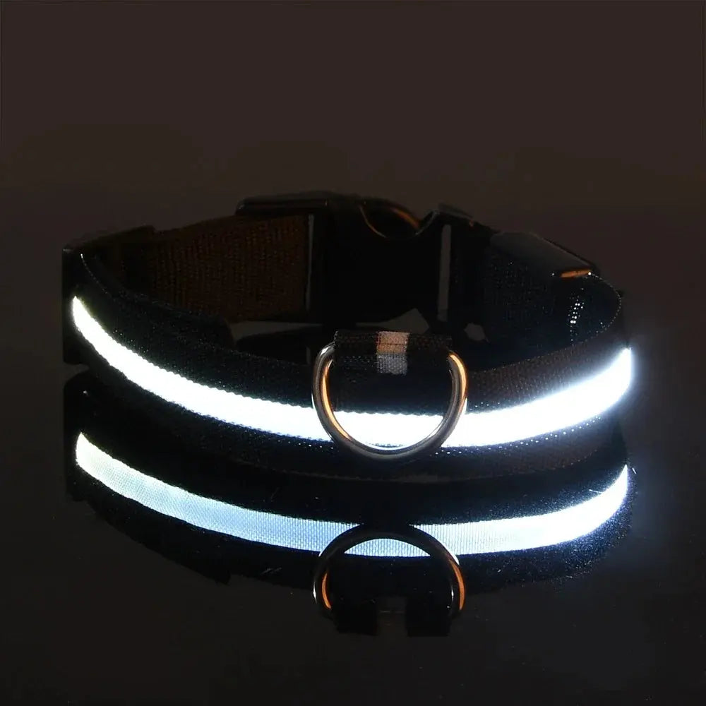 Dog Collar Nylon LED Night Safety Flashing Glow Reseller
