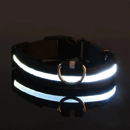 Dog Collar Nylon LED Night Safety Flashing Glow Reseller