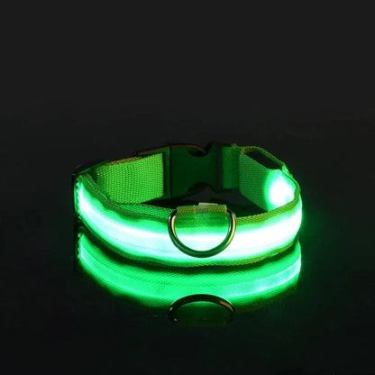 Dog Collar Nylon LED Night Safety Flashing Glow Reseller