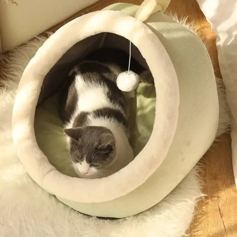 Bed Cat House Condo for Indoor or Outdoor Cat Reseller
