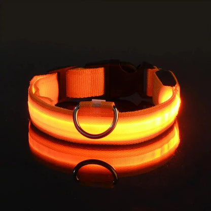 Dog Collar Nylon LED Night Safety Flashing Glow Reseller