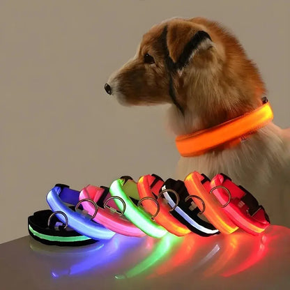 Dog Collar Nylon LED Night Safety Flashing Glow Reseller