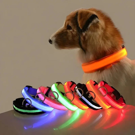 Dog Collar Nylon LED Night Safety Flashing Glow Reseller