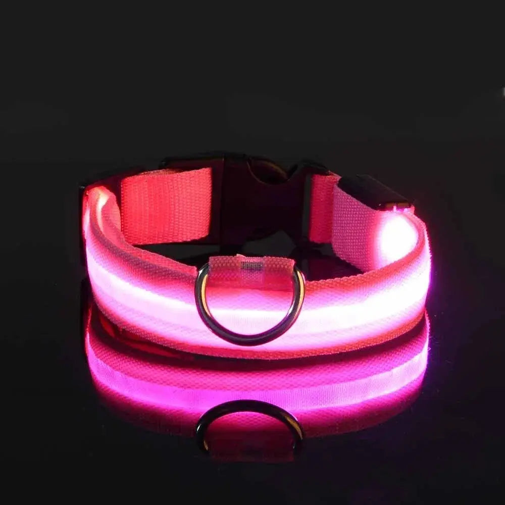 Dog Collar Nylon LED Night Safety Flashing Glow Reseller