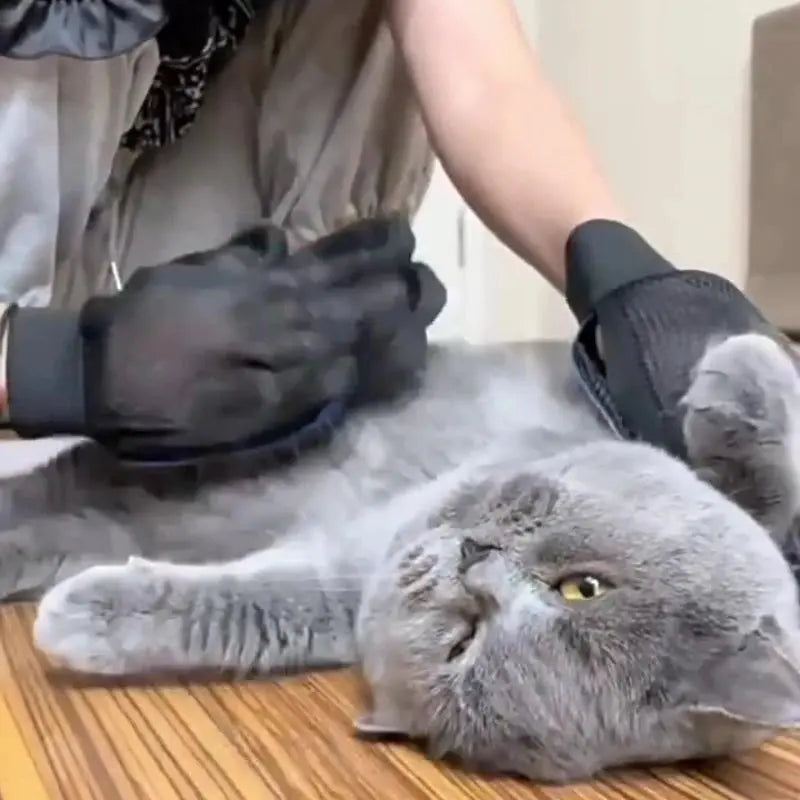 Silicone Pet Grooming Gloves Cats Hair Brush Reseller