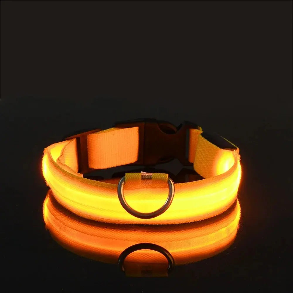 Dog Collar Nylon LED Night Safety Flashing Glow Reseller